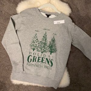 J.Crew Holiday Gray Sweatshirt NWT